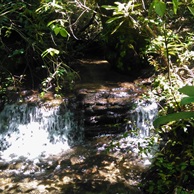 Ash Grove's Fairy Falls